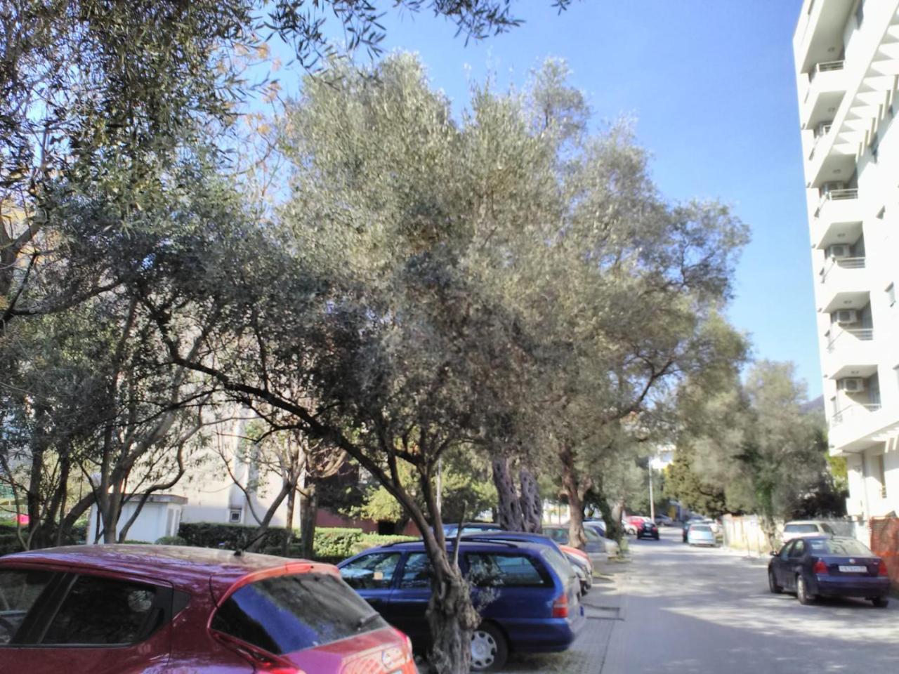 Yeshill Apartments Budva Exterior photo